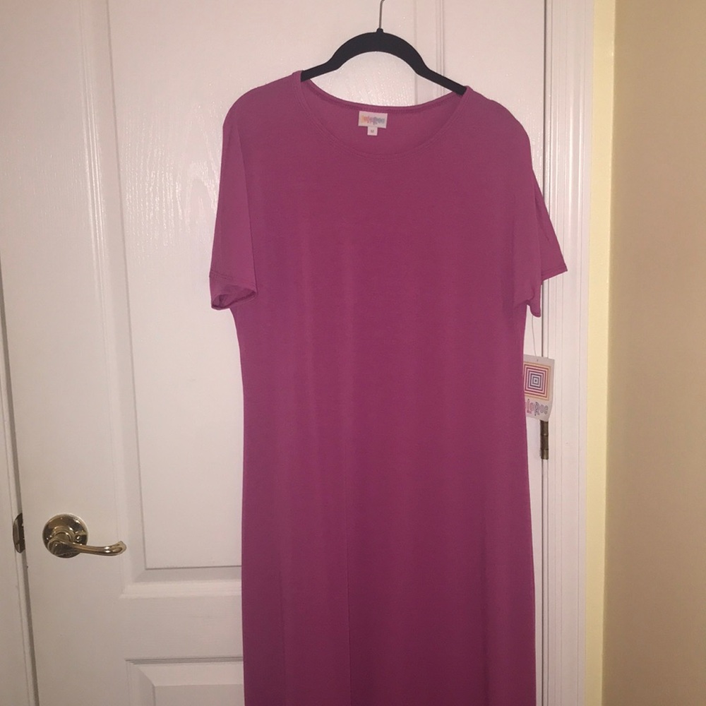 NWT LuLaRoe Pink Maria dress